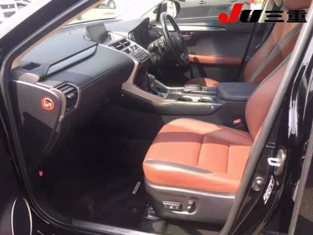 LEXUS NX300H