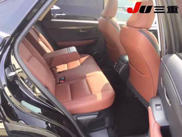 LEXUS NX300H