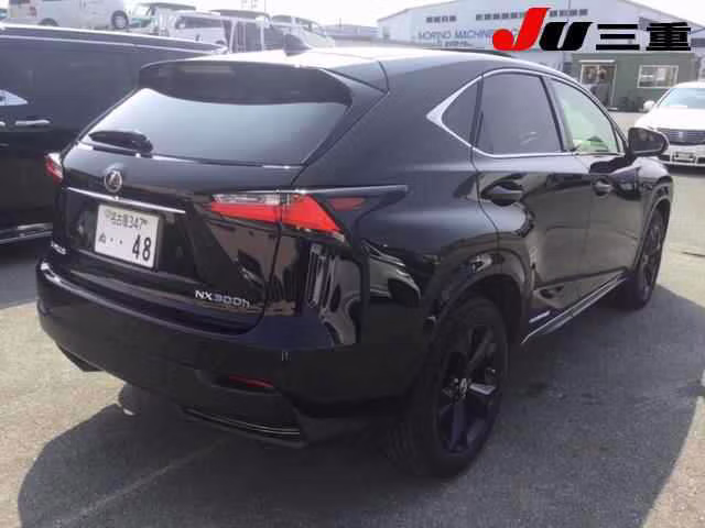 LEXUS NX300H
