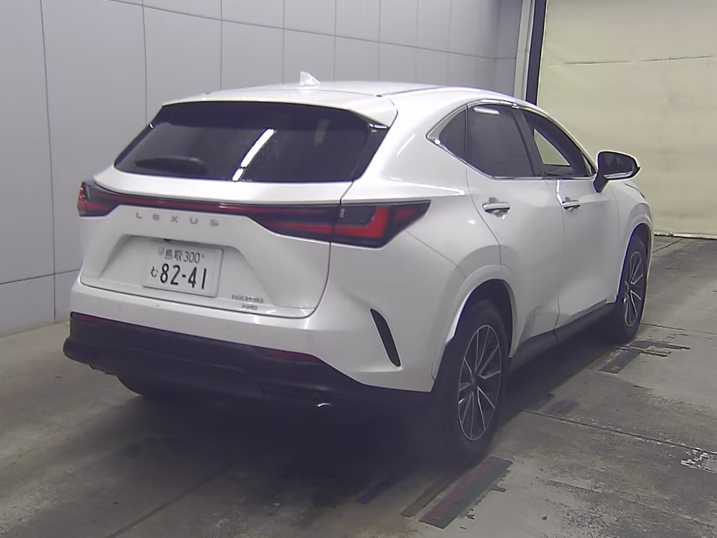 LEXUS NX250
