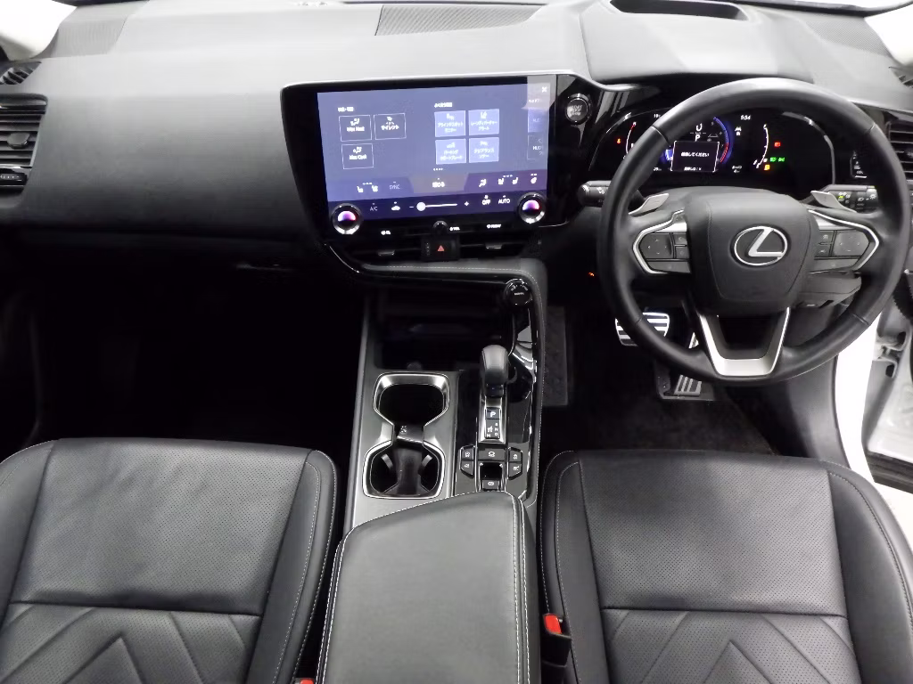 LEXUS NX250