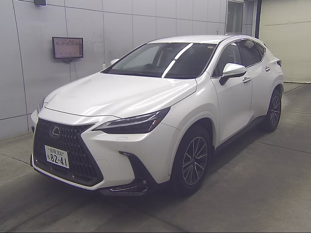 LEXUS NX250