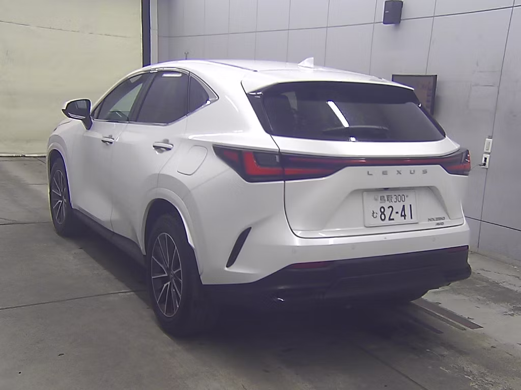 LEXUS NX250