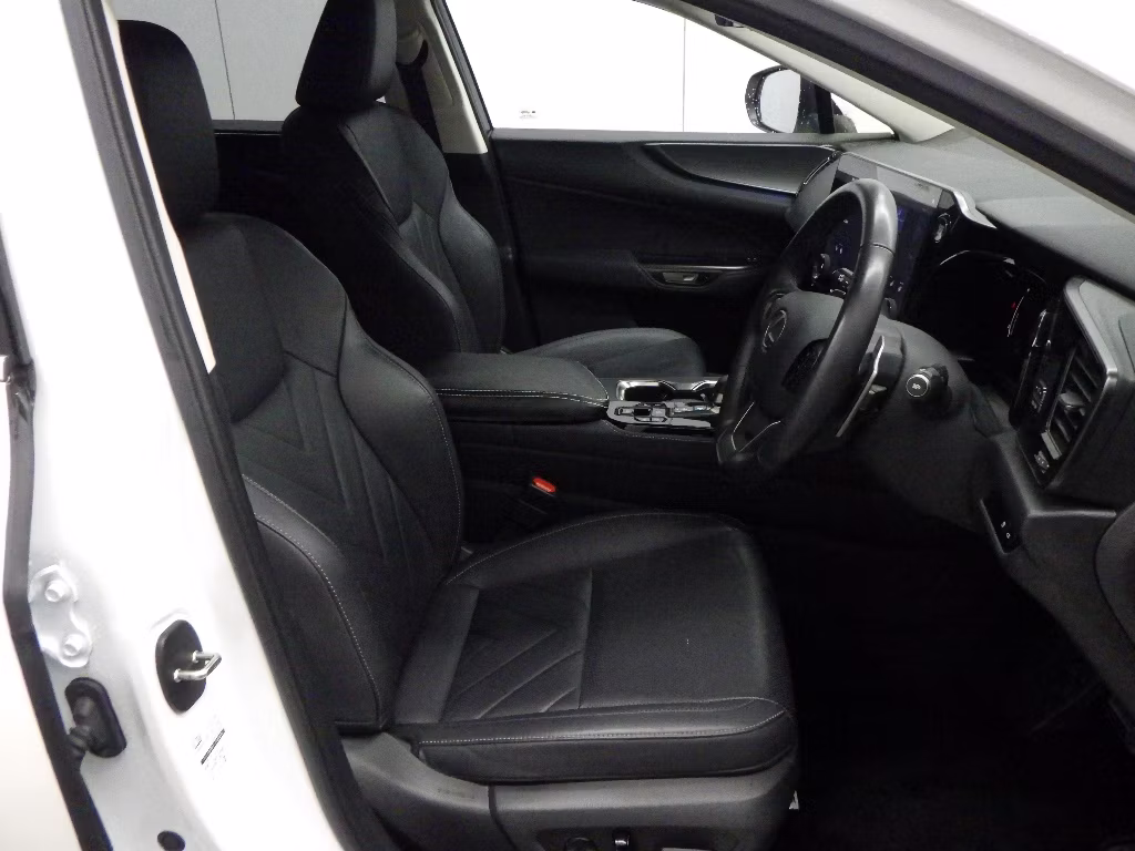 LEXUS NX250
