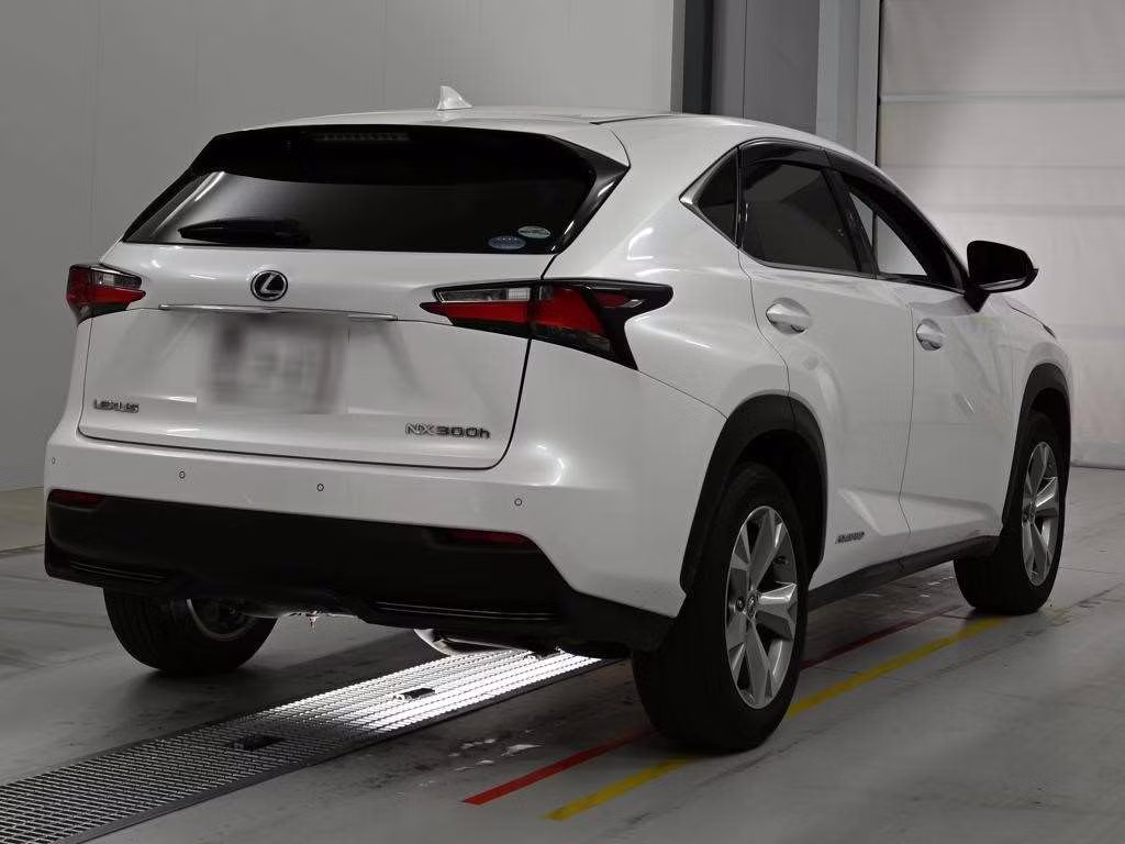 LEXUS NX300
