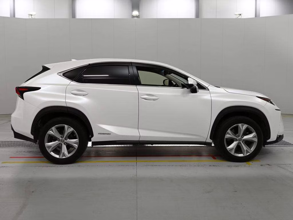 LEXUS NX300