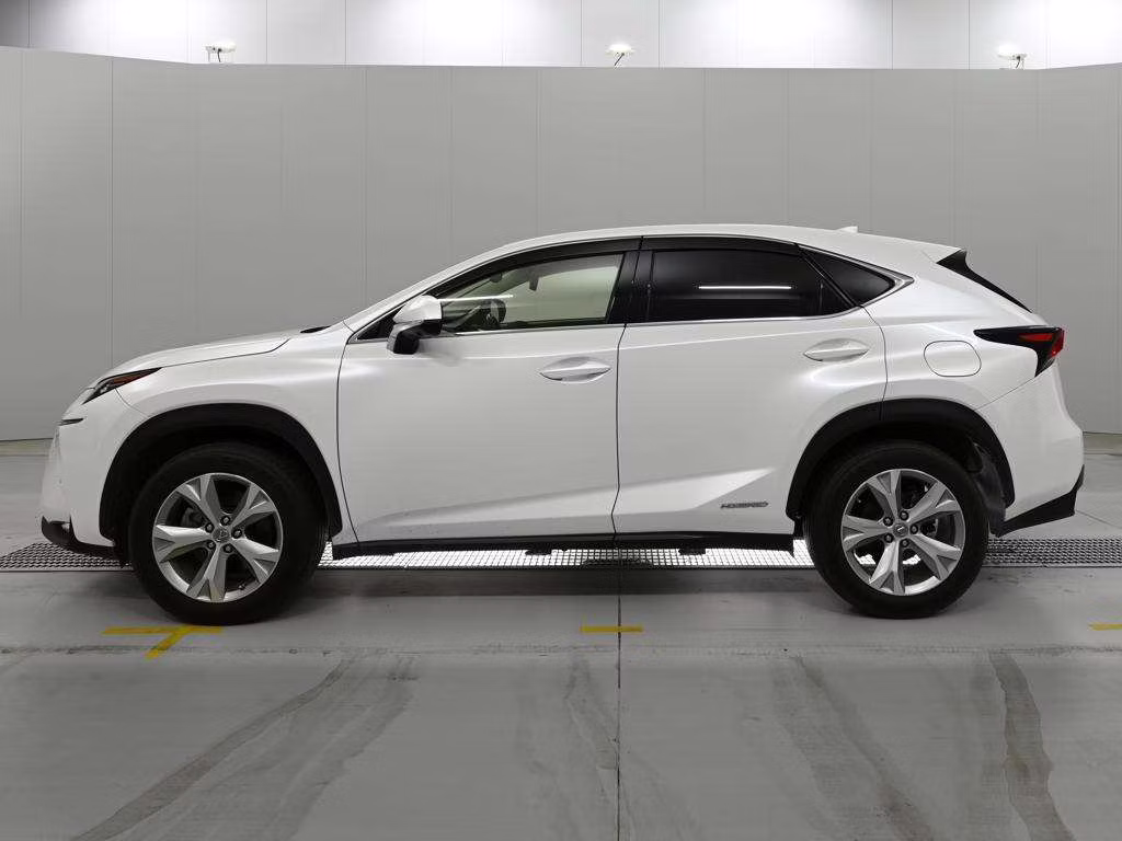 LEXUS NX300