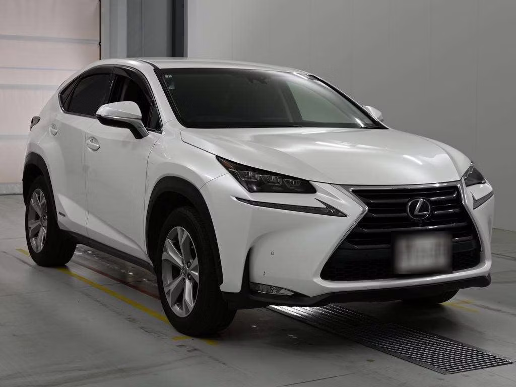 LEXUS NX300