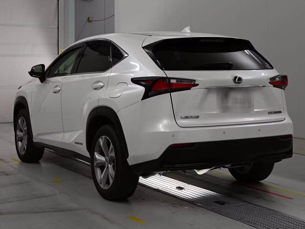 LEXUS NX300