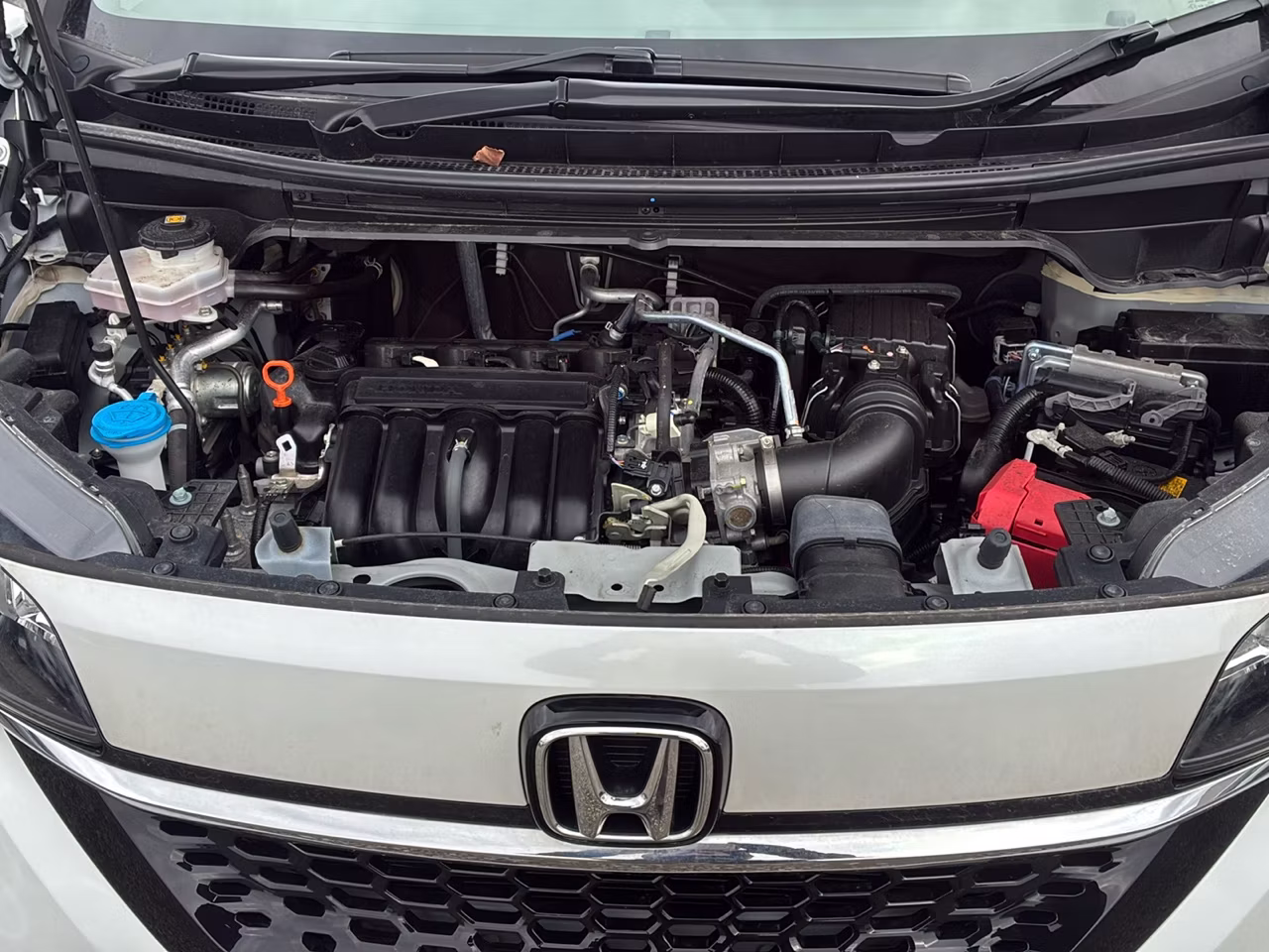 HONDA FREED+