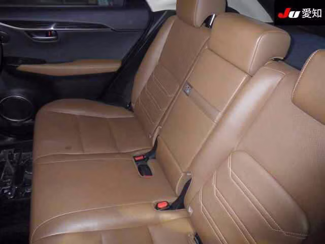 LEXUS NX300H
