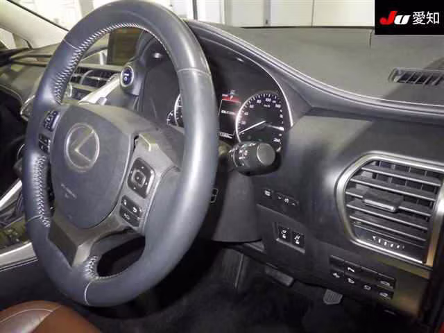 LEXUS NX300H