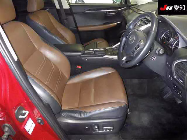 LEXUS NX300H