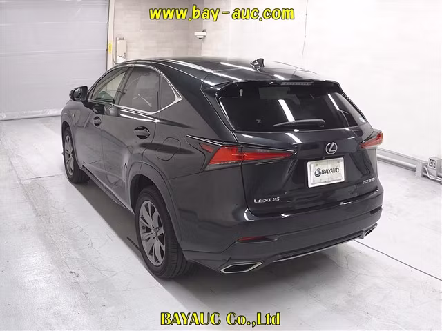 LEXUS NX300