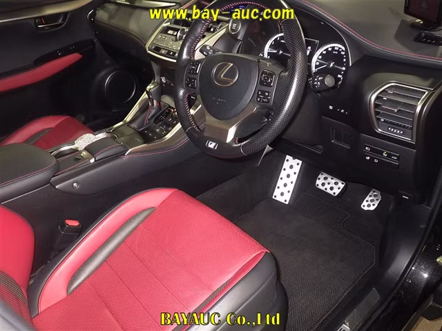 LEXUS NX300