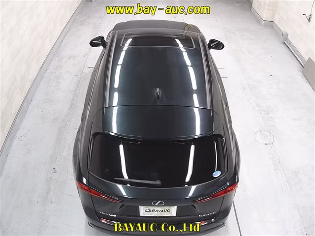 LEXUS NX300