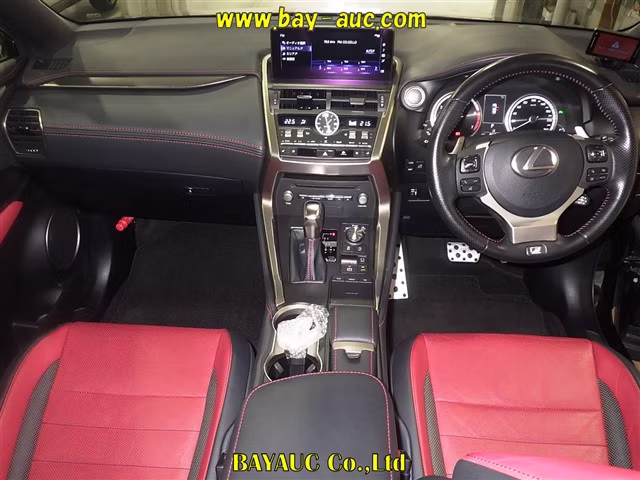LEXUS NX300