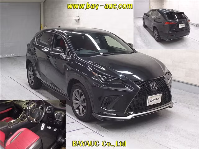 LEXUS NX300