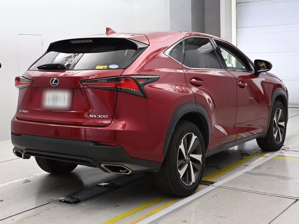 LEXUS NX300
