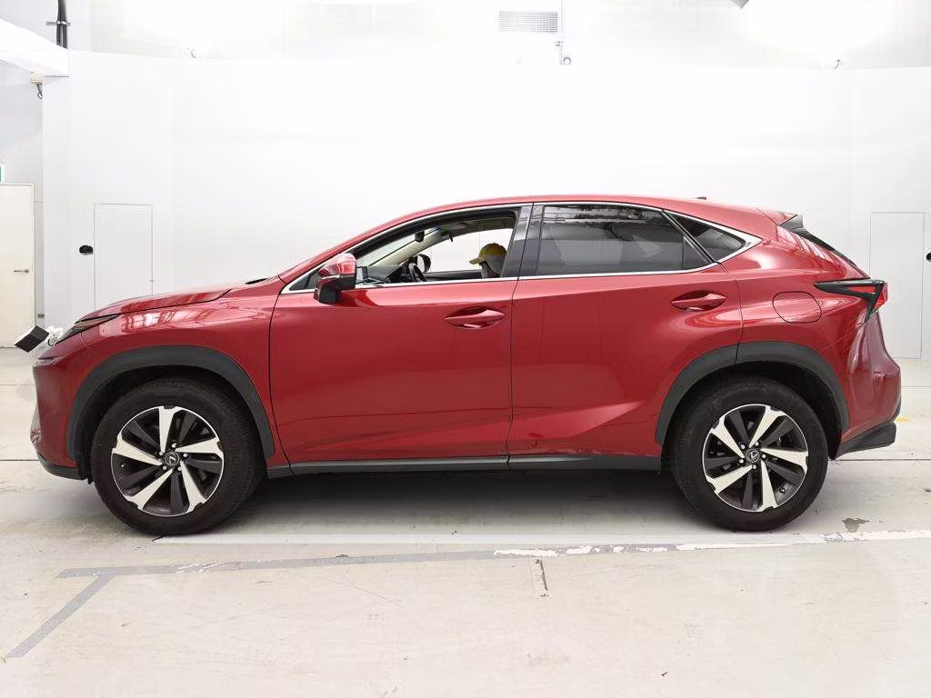 LEXUS NX300