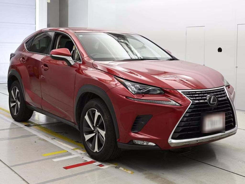 LEXUS NX300