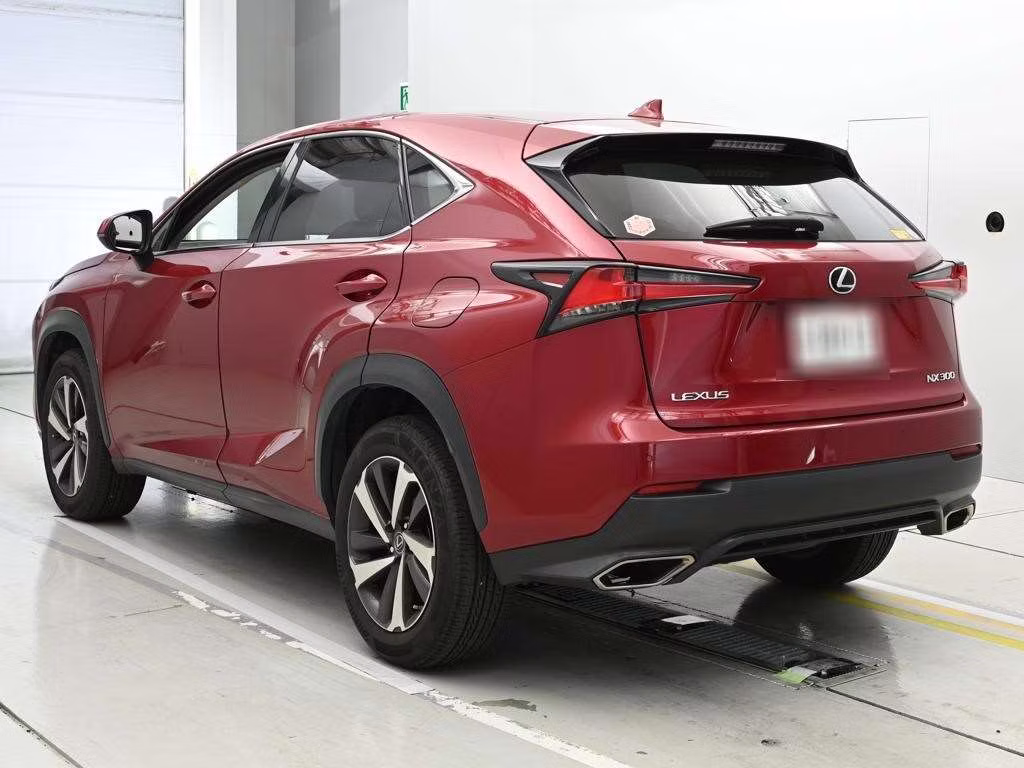 LEXUS NX300