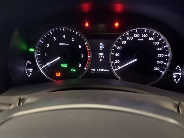 LEXUS GS300H