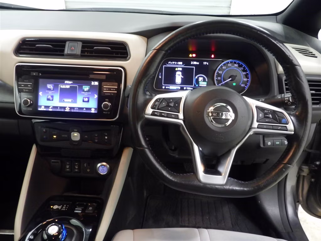 NISSAN LEAF