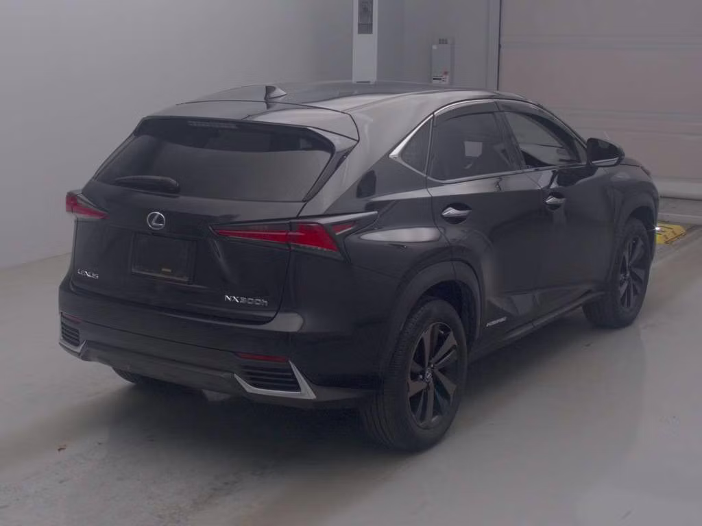 LEXUS NX300H