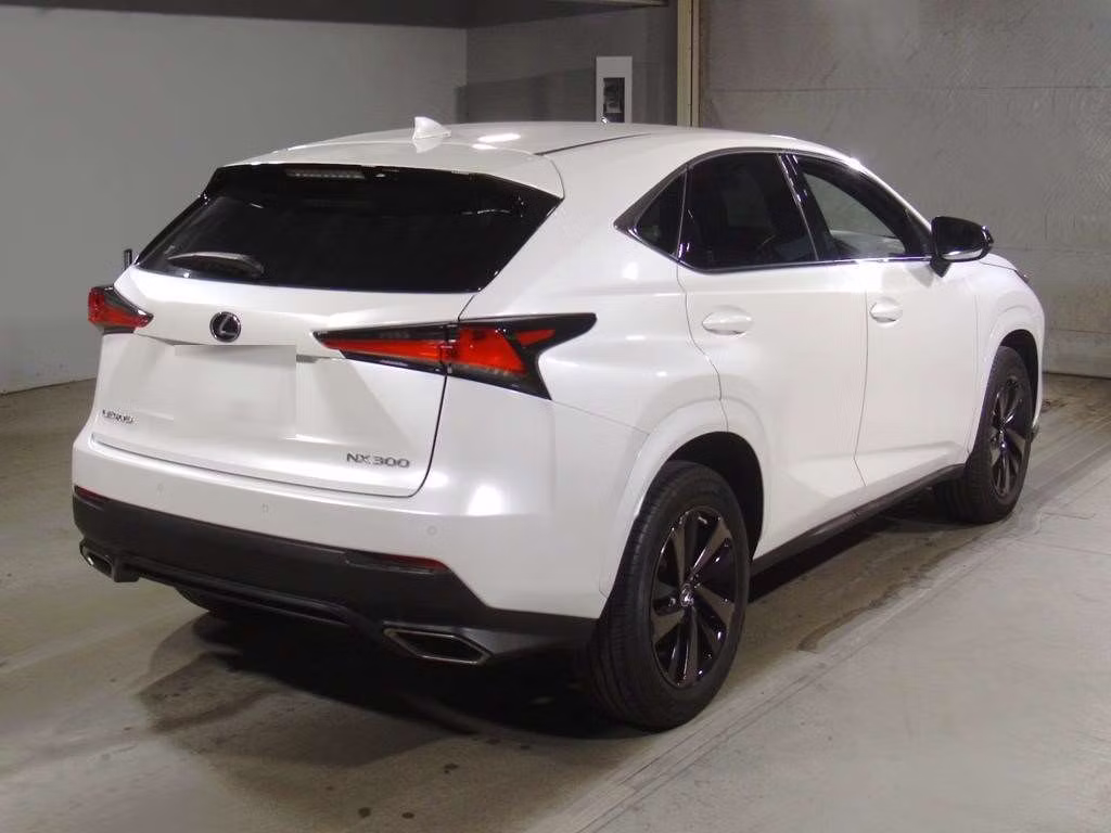LEXUS NX300