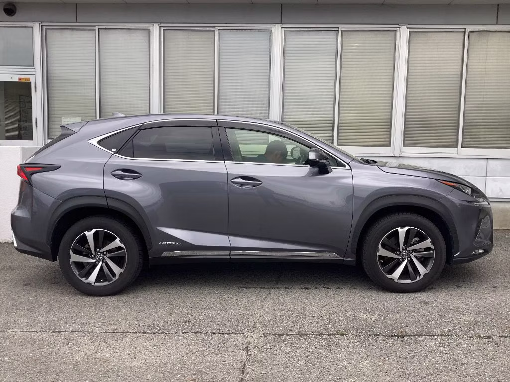 LEXUS NX300H