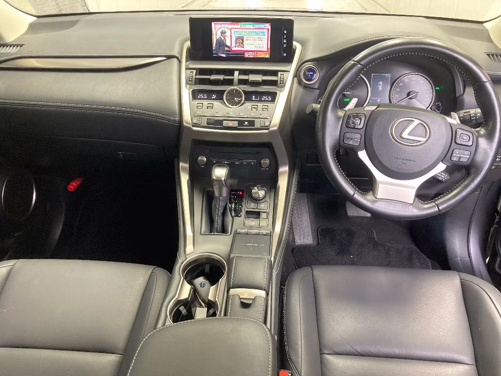 LEXUS NX300H