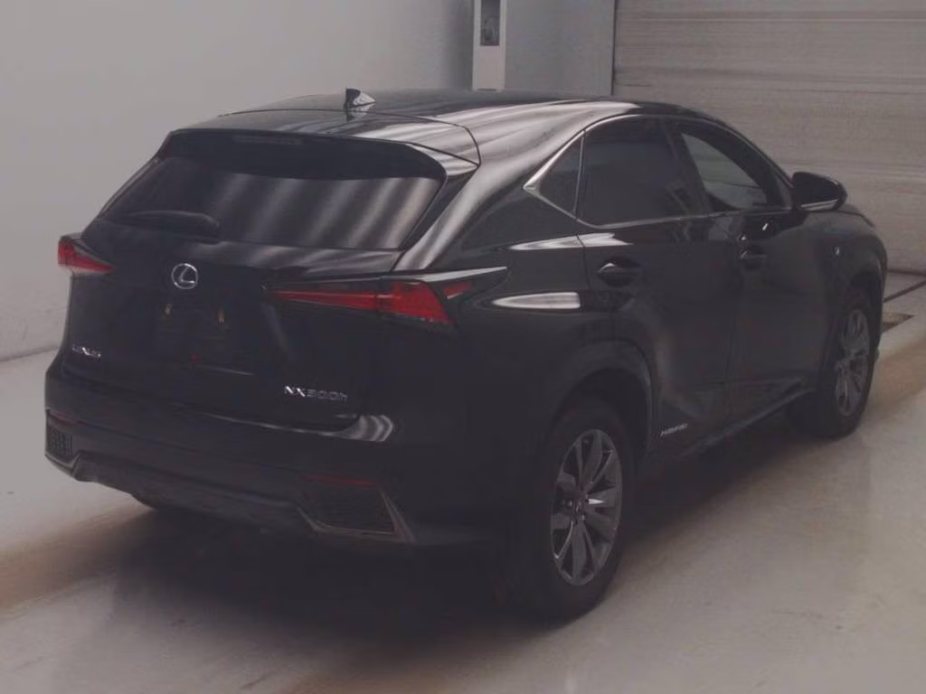 LEXUS NX300