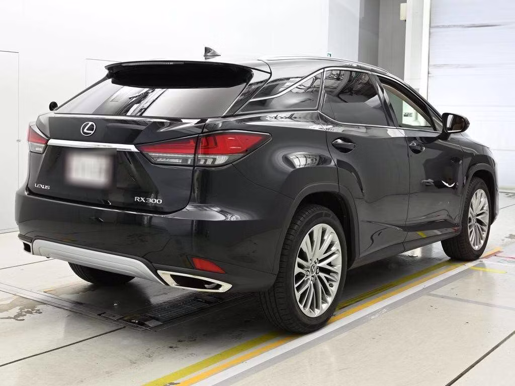 LEXUS RX300