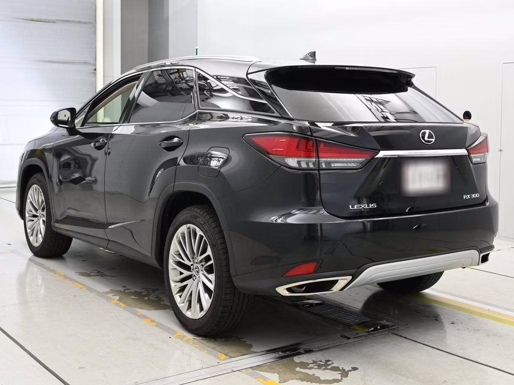 LEXUS RX300