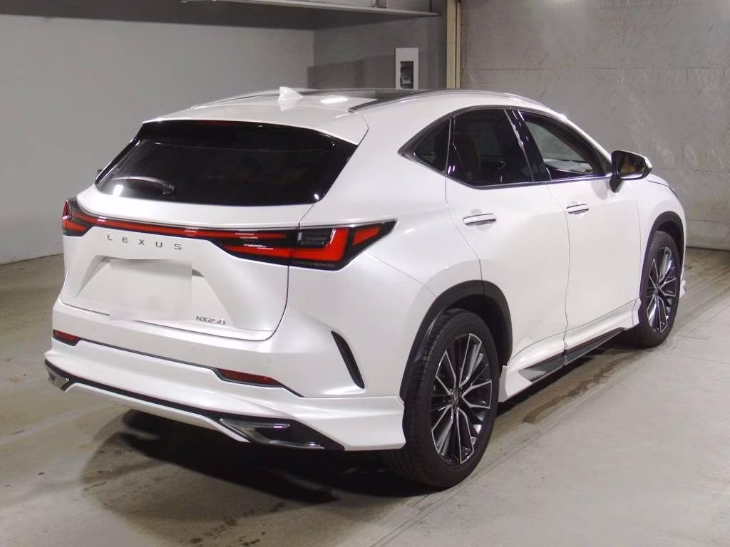 LEXUS NX250