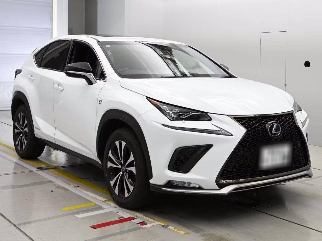 LEXUS NX300H