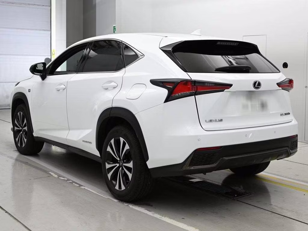 LEXUS NX300H