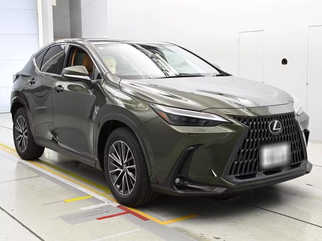 LEXUS NX450H+