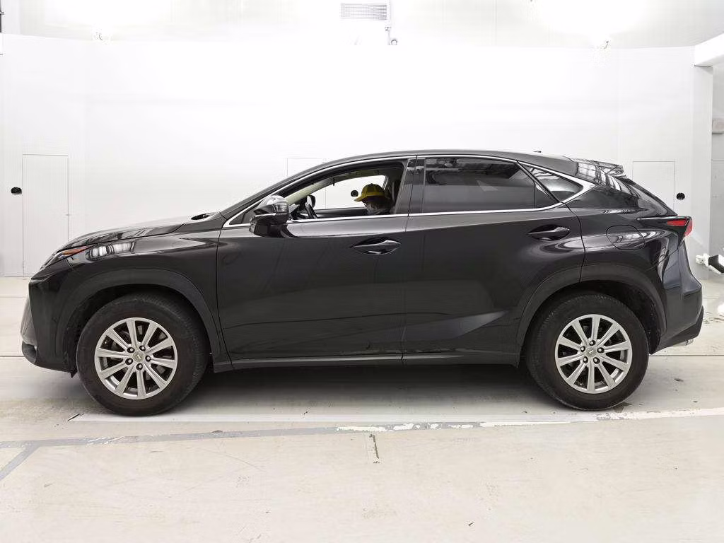 LEXUS NX200T