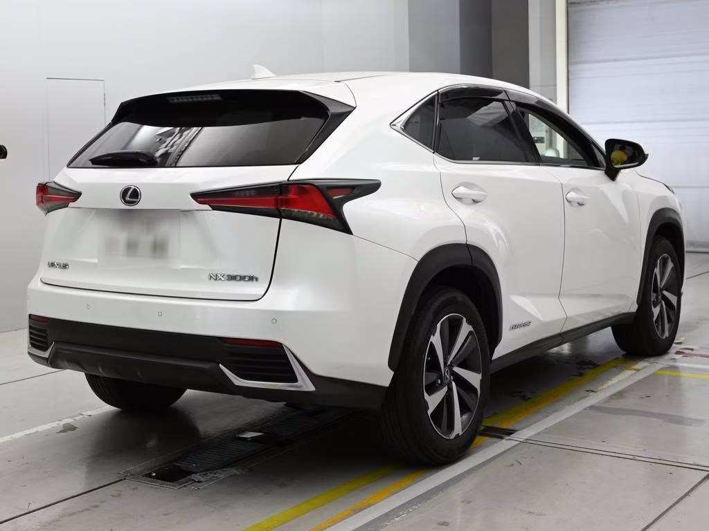 LEXUS NX300H