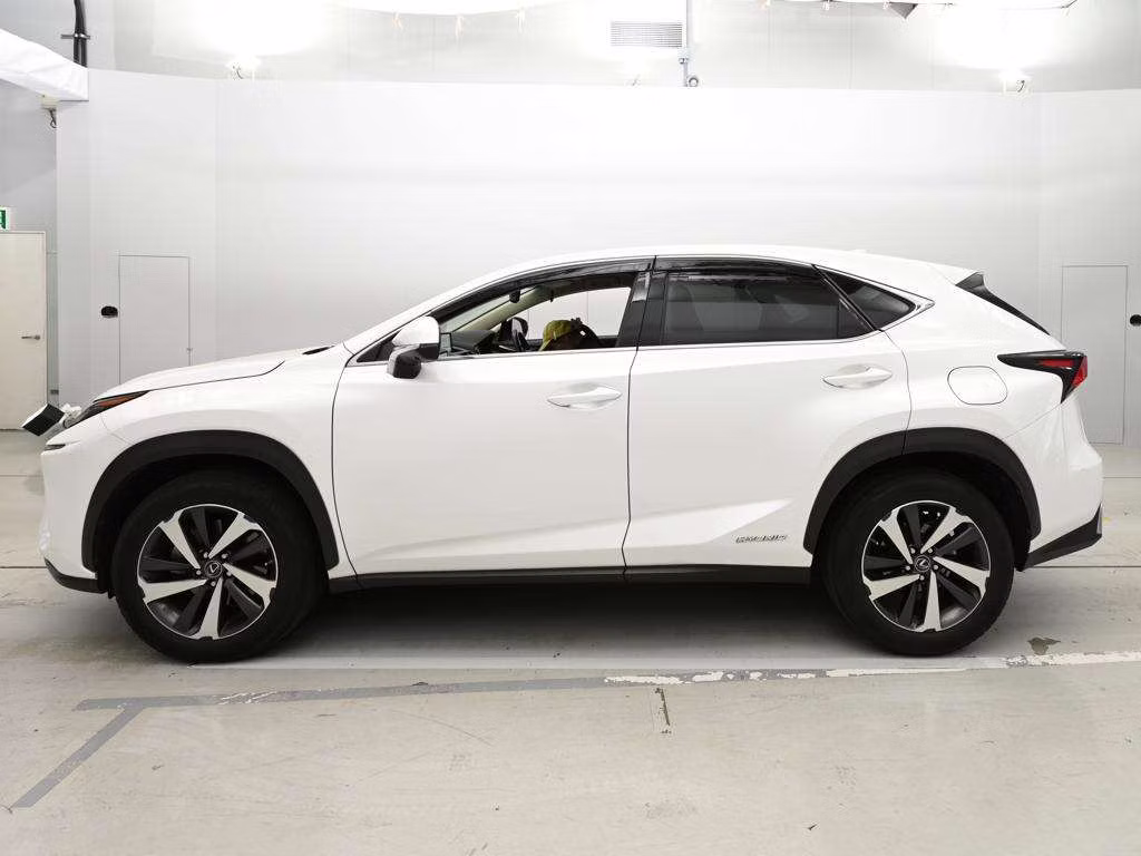 LEXUS NX300H