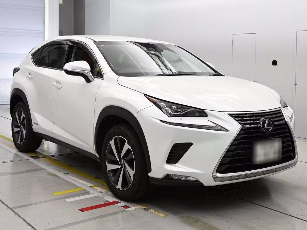 LEXUS NX300H
