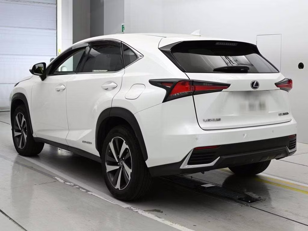LEXUS NX300H