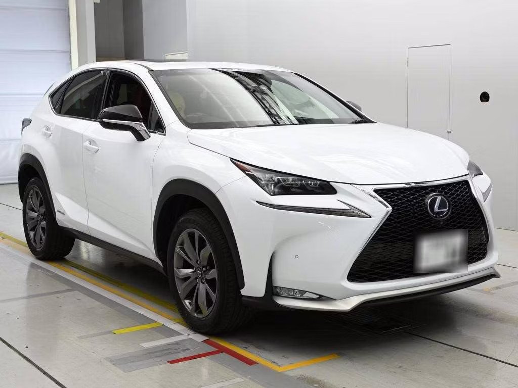 LEXUS NX300H