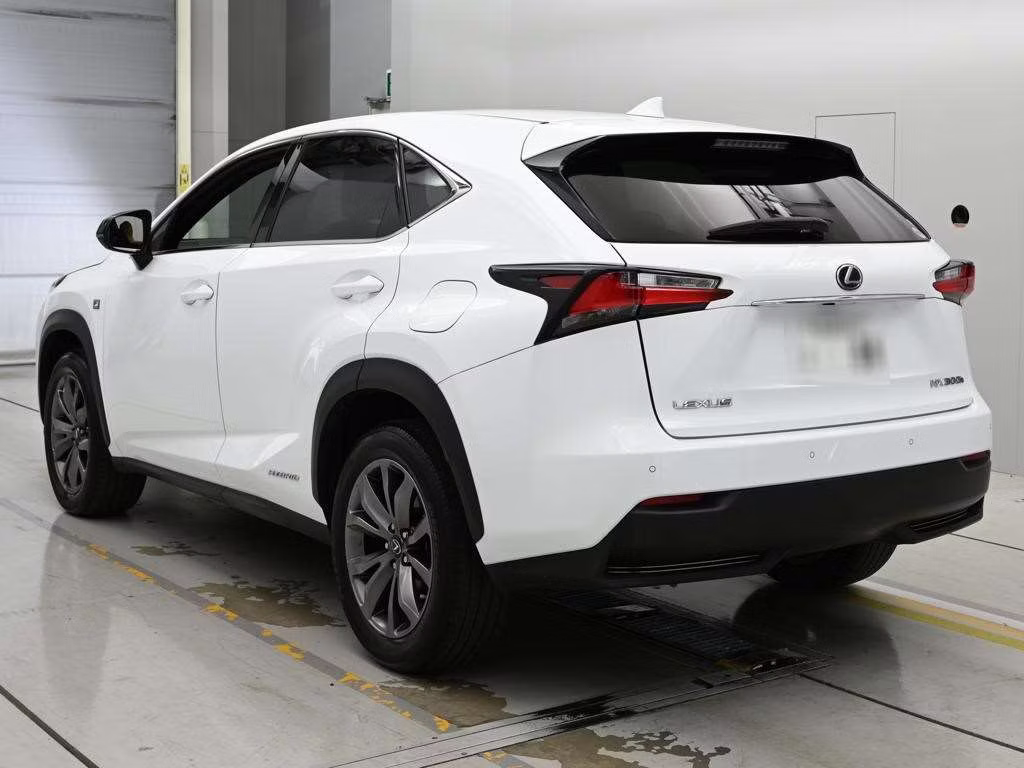 LEXUS NX300H
