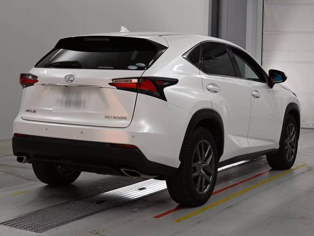 LEXUS NX300