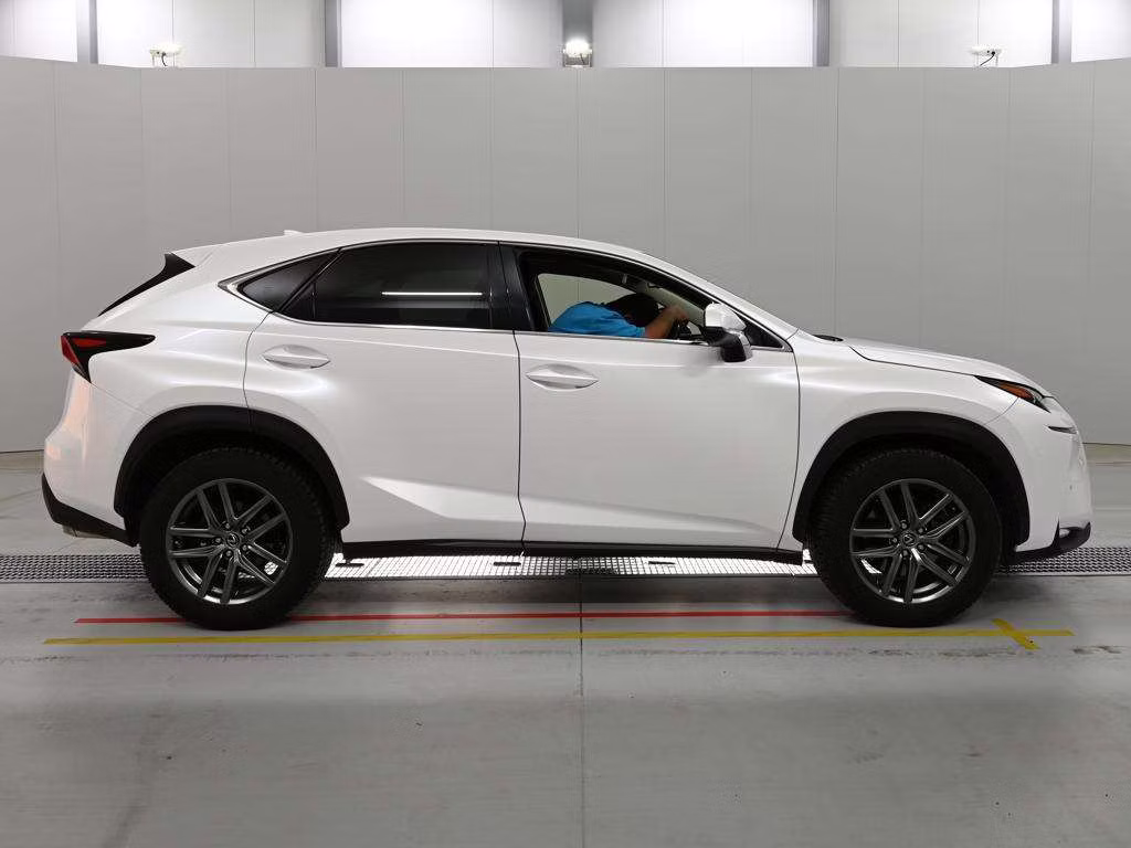 LEXUS NX300