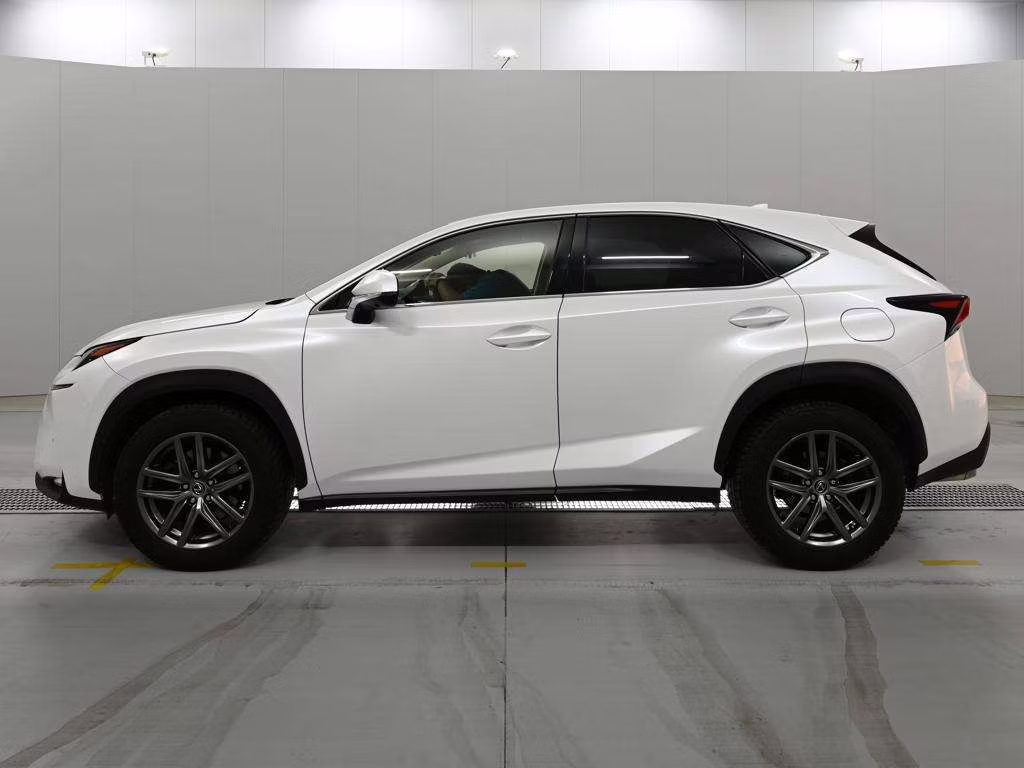 LEXUS NX300