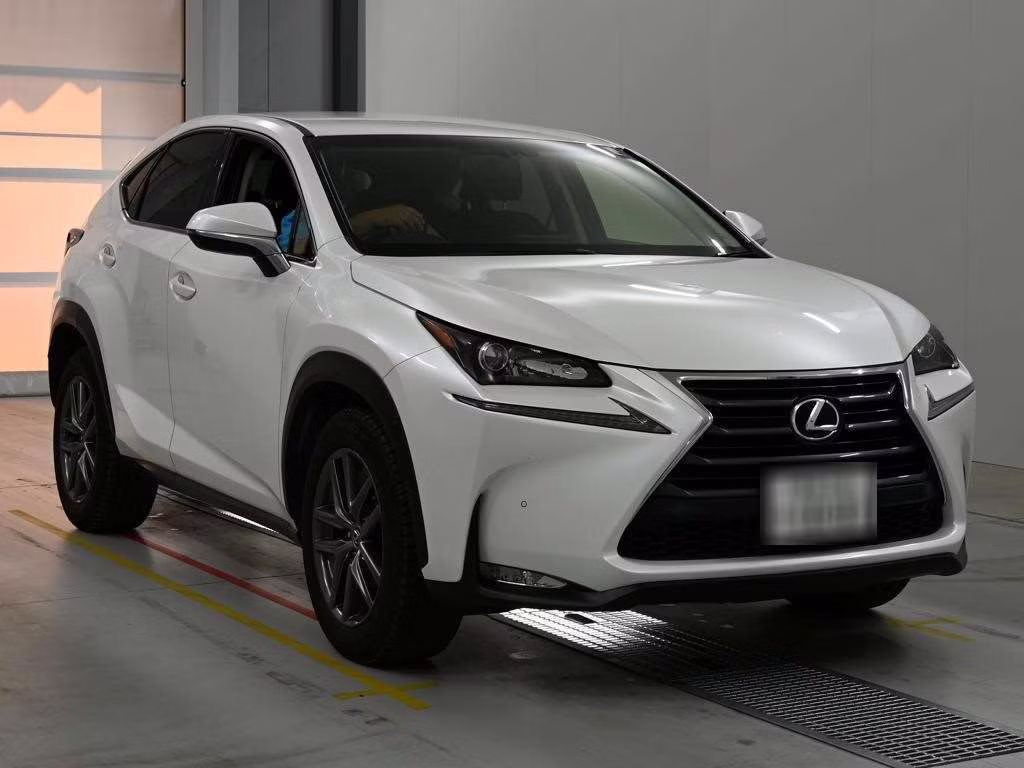 LEXUS NX300